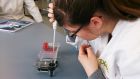FOS 12 Biotechnologie im Labor-Praktikum